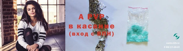 ГАЛЛЮЦИНОГЕННЫЕ ГРИБЫ Лихославль