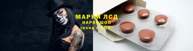 ГАЛЛЮЦИНОГЕННЫЕ ГРИБЫ Лихославль