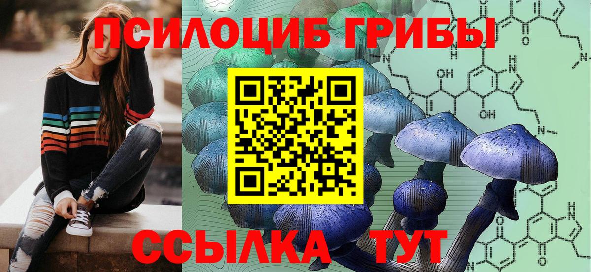 Псилоцибиновые грибы Magic Shrooms Тутаев